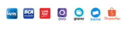 Logo dompet digital